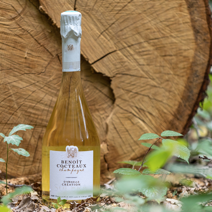 Champagne Benoît Cocteaux - Éternelle Création (Solera) Brut Nature